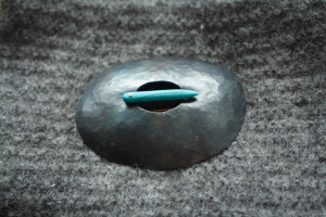 pulgaga